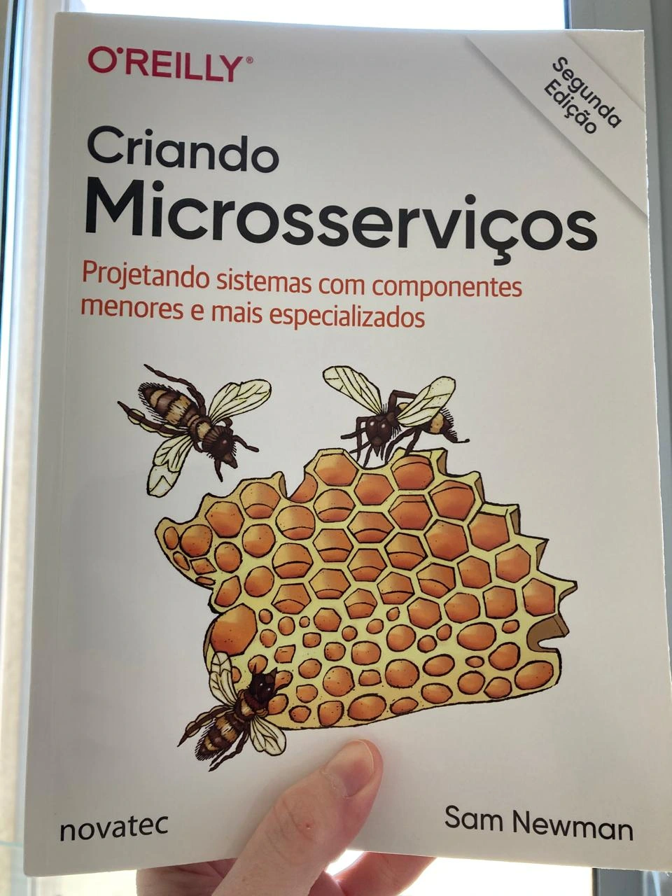 building microservices