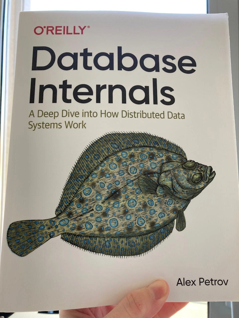 database internals